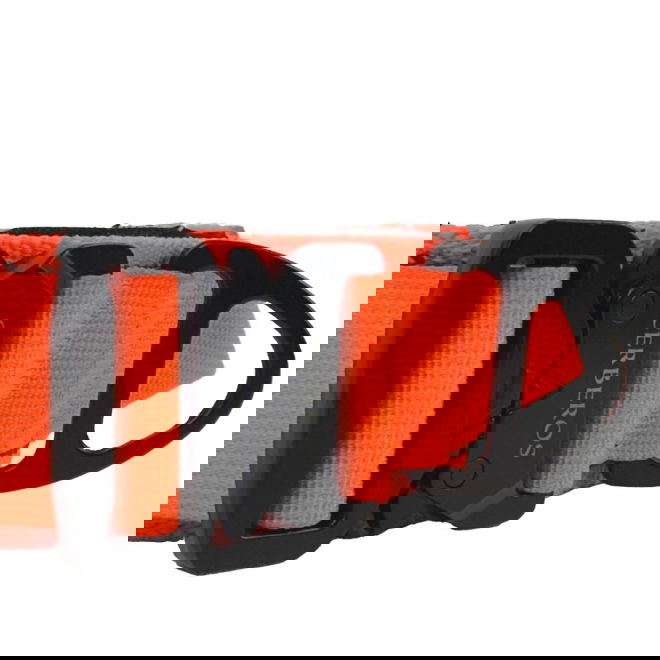 Cerberos Hundhalsband Reflekterande Orange