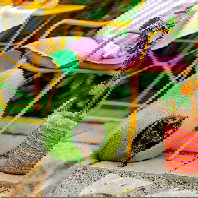 Little&Bigger Juicy Vibes Kattigloo P&auml;ron