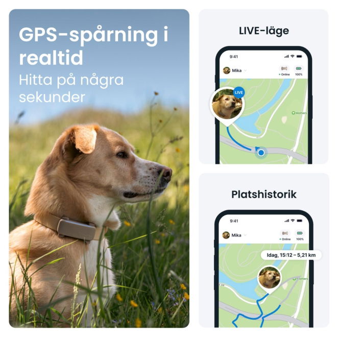 Tractive GPS & Health Tracker för Hund Brun