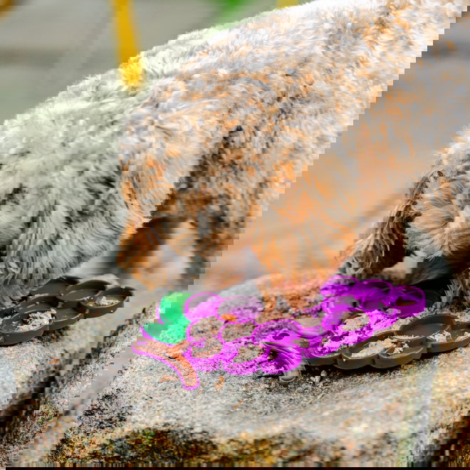 Little&Bigger Juicy Vibes Yummy Mat Druvklase