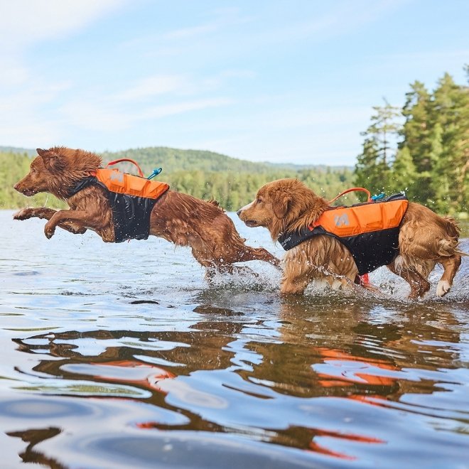Non-Stop Dogwear Protector Flytväst till Hund Orange & Svart
