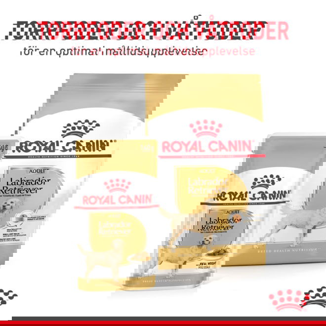 Royal Canin Labrador Retriever Adult 10x140 g