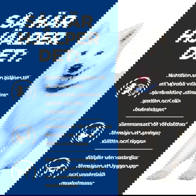 Hills Prescription Diet Canine k/d + Mobility Kidney + Joint Care Original