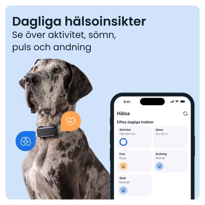 Tractive Dog 6 XL GPS till Hund