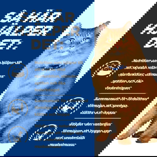 Hills Prescription Diet Feline k/d j/d Kidney + Mobility Chicken 12x85 g