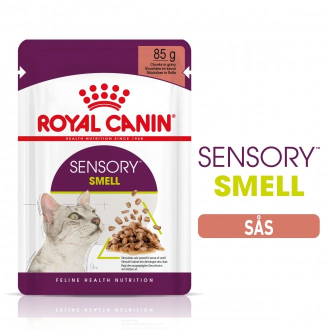 Royal Canin Sensory Smell 12x85 g
