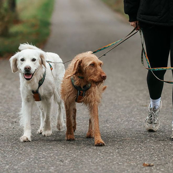 Non-stop Dogwear Trail Quest Rachel Pohl Hundkoppel 15 mm x 2 m Brun