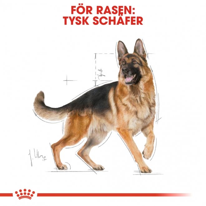 Royal Canin Breed German Shepherd Adult