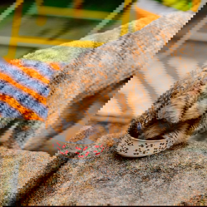 Little&Bigger Juicy Vibes Metallsk&aring;l K&ouml;rsb&auml;r