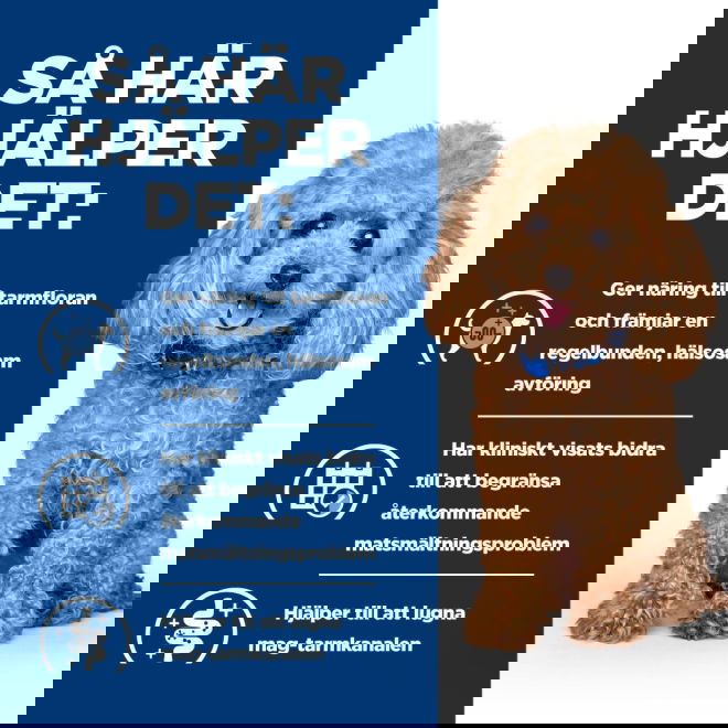 Hills Prescription Diet Canine Gastrointestinal Biome Mini Digestive/Fibre CareChicken