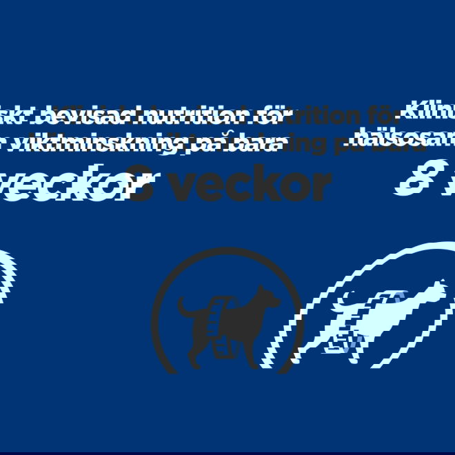 Hills Prescription Diet Canine r/d Weight Loss Chicken