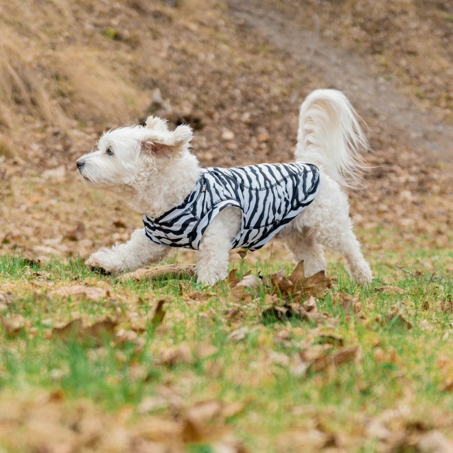 Rukka Zebra Fästingskydd Hundtröja