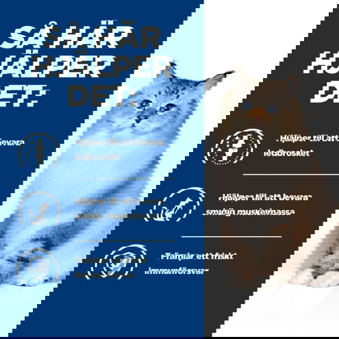 Hills Prescription Diet Feline j/d Mobility Chicken