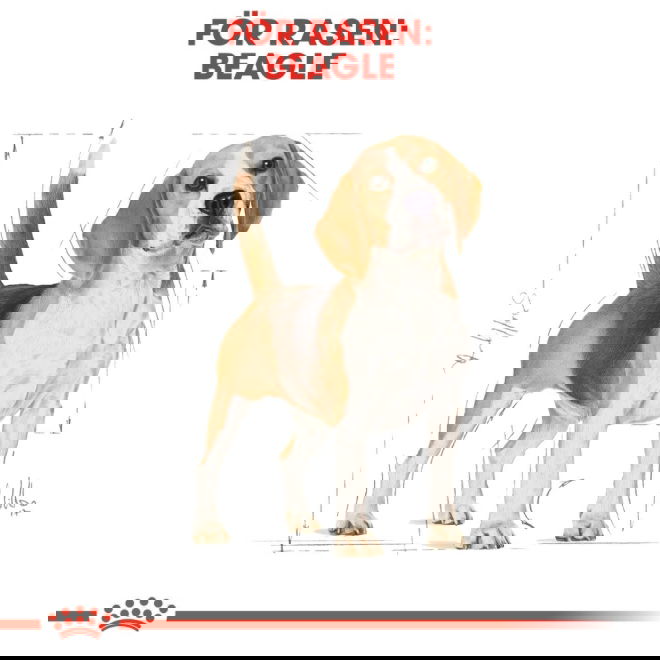 Royal Canin Breed Beagle Adult