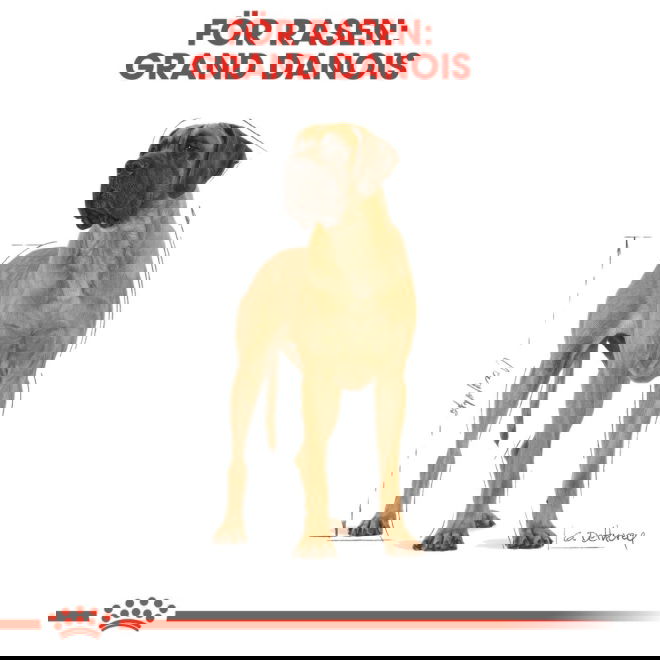Royal Canin Breed Great Dane