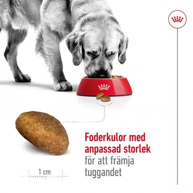 Royal Canin Dog Maxi Adult torrfoder för hund