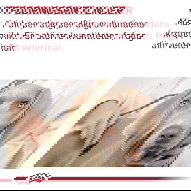 Royal Canin Veterinary Diets Dog Pill Assist Tablettg&ouml;mma f&ouml;r hund M/L 225 g