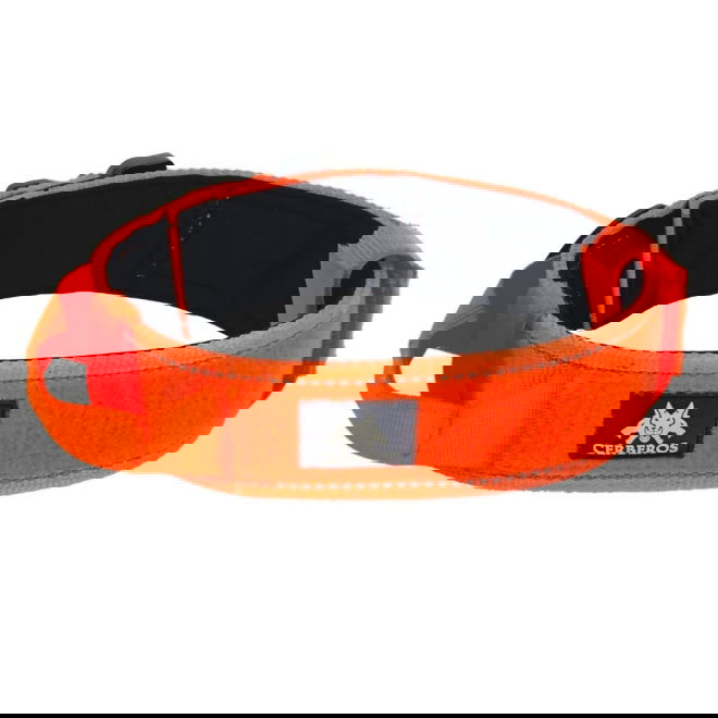 Cerberos Hundhalsband Reflekterande Orange