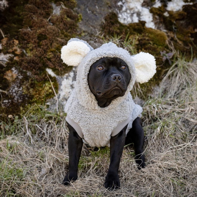 Little&Bigger Koala Hoodie Hundtröja i Teddytyg