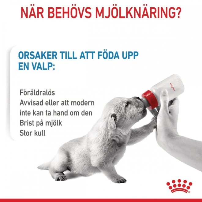 Royal Canin Baby Dog Milk