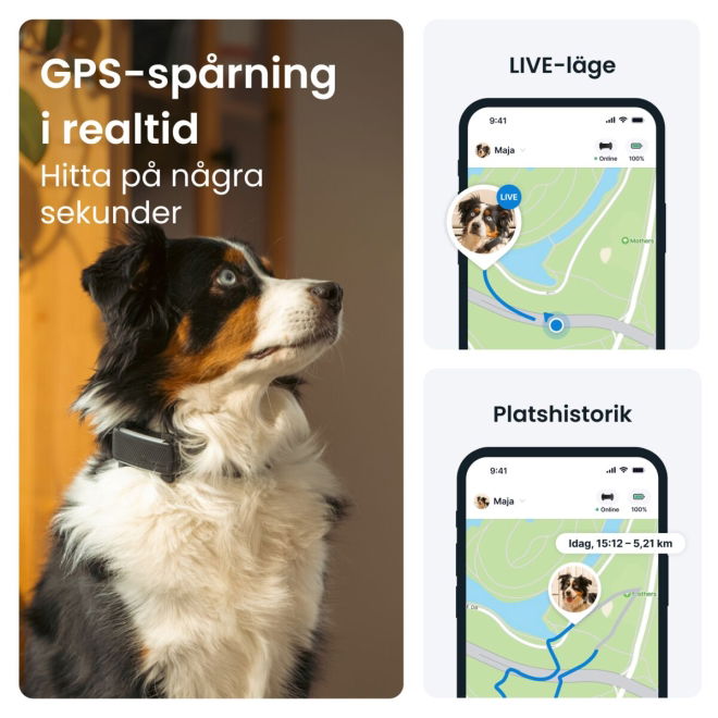 Tractive GPS & Health Tracker för Hund Svart