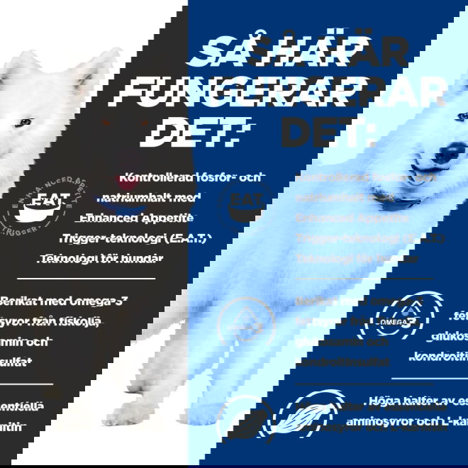 Hills Prescription Diet Canine k/d + Mobility Kidney + Joint Care Original