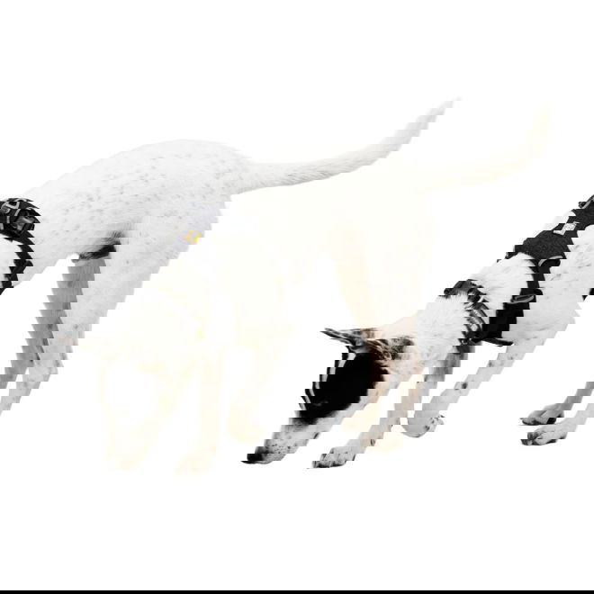 Ruffwear Front Range Flex Harness Hundsele Gr&aring;