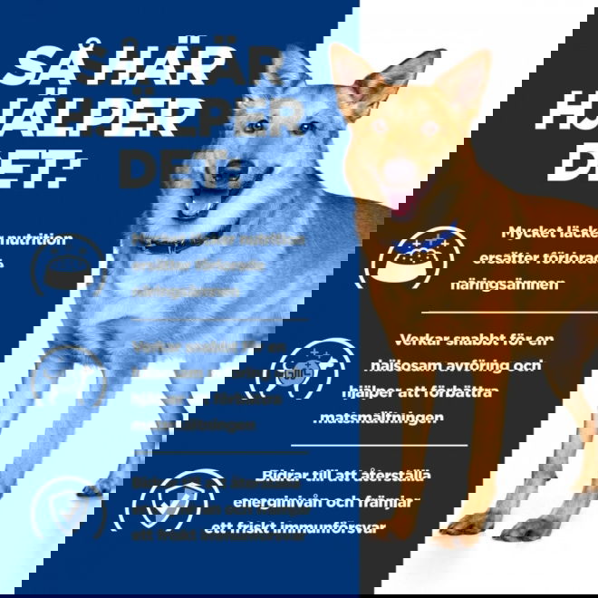 Hills Prescription Diet Canine i/d Digestive Care Turkey (200 g)