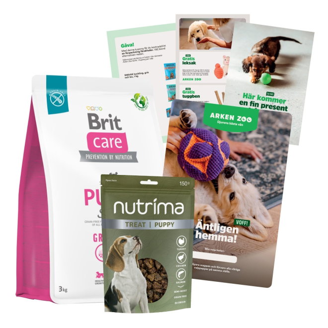 Valppaket Brit Care Puppy Grain Free Salmon