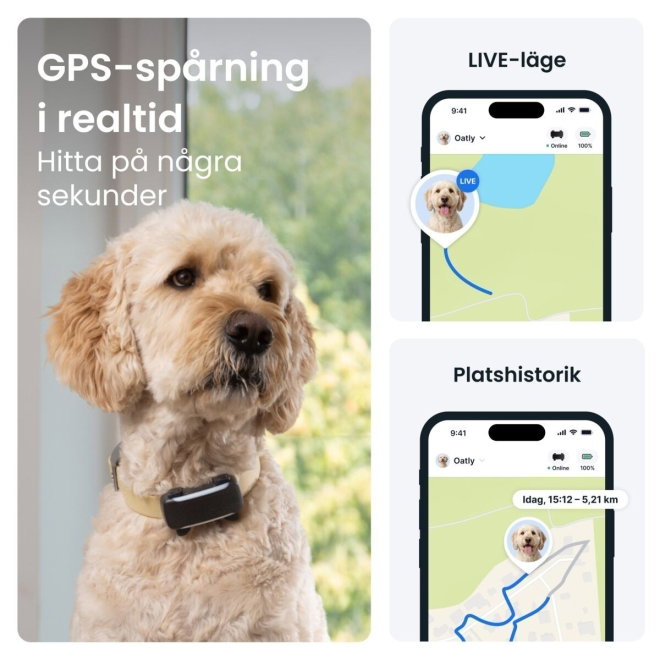Tractive Dog 6 XL GPS till Hund