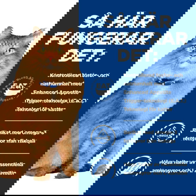 Hills Prescription Diet Feline k/d j/d Kidney + Mobility Chicken 12x85 g