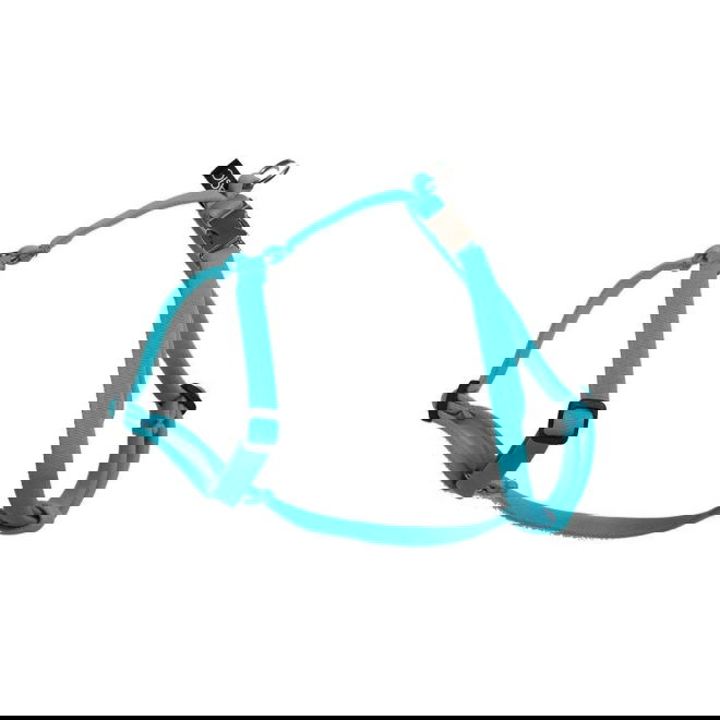 Basic Sweet Sele XXS (Turkos)