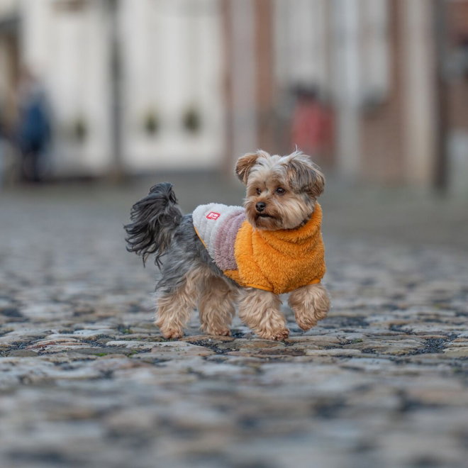 51 Degrees North Turtle Teddy Hundtr&ouml;ja Orange Mix