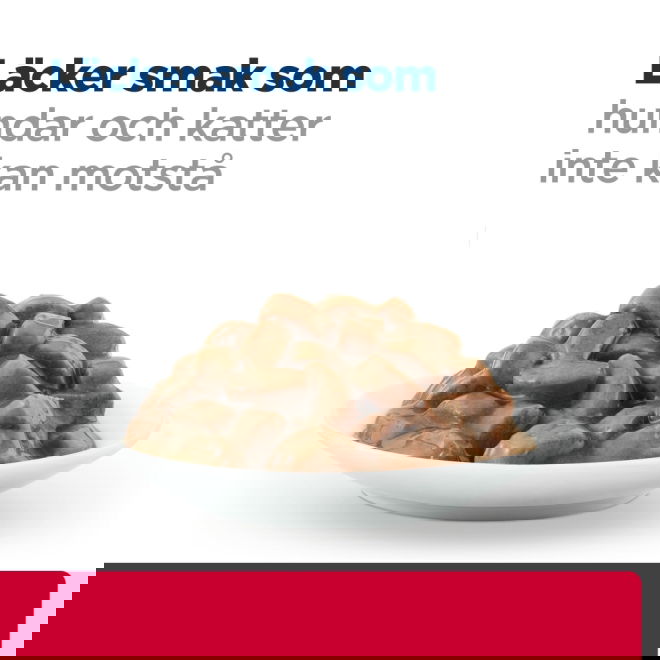 Hills Prescription Diet Feline c/d Urinary Care Multicare Stress Salmon 12x85 g