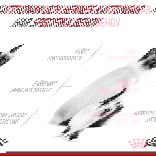 Royal Canin Mother & Babycat torrfoder för katt och kattunge