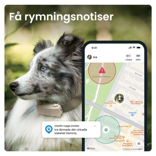 Tractive GPS & Health Tracker för Hund Brun