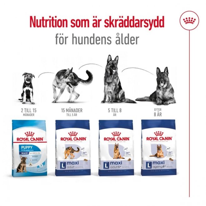 Royal Canin Dog Maxi Adult torrfoder för hund