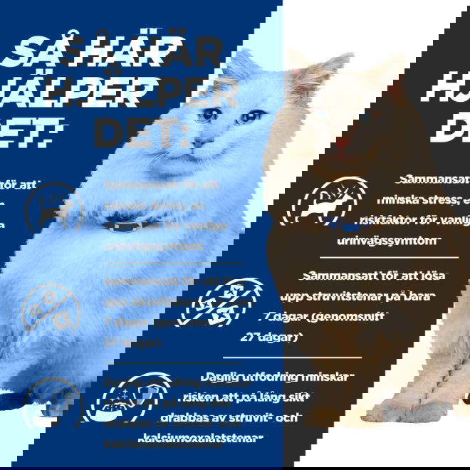 Hills Prescription Diet Feline c/d Urinary Multicare Ocean Fish