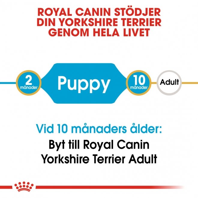 Royal Canin Breed Yorkshire Terrier Junior 1,5 kg