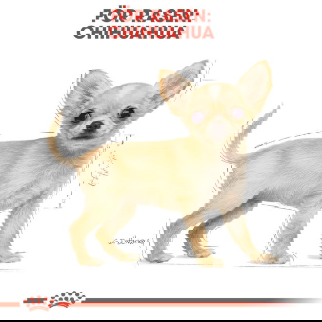Royal Canin Breed Chihuahua Puppy