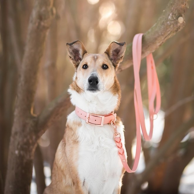 Tyylivoitto Classy Hundhalsband Persika