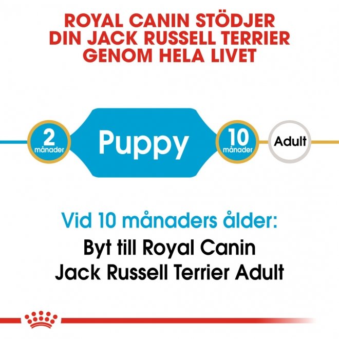 Royal Canin Breed Jack Russell Junior 1,5 kg