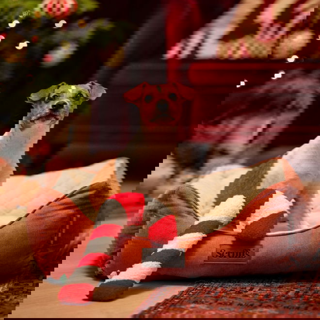 Bark-a-Boo Tufflove Holiday Polkagris 32 cm