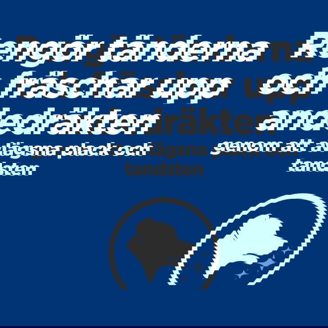 Hills Prescription Diet Canine t/d Dental Care Mini Chicken 3 kg