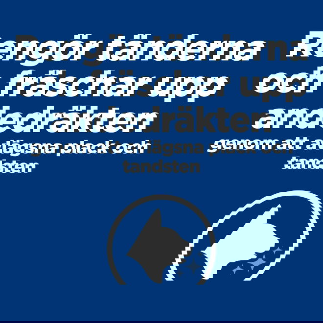 Hills Prescription Diet Feline t/d Dental Care Chicken