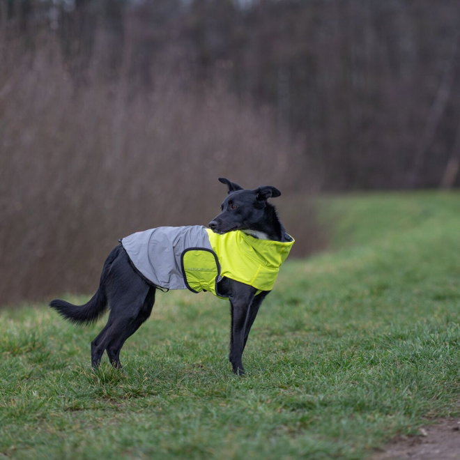 51 Degrees North Hundjacka med Reflex Gul