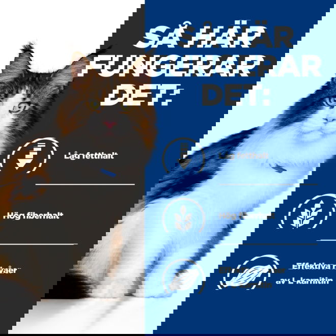 Hills Prescription Diet Feline w/d Multi Benefit Chicken