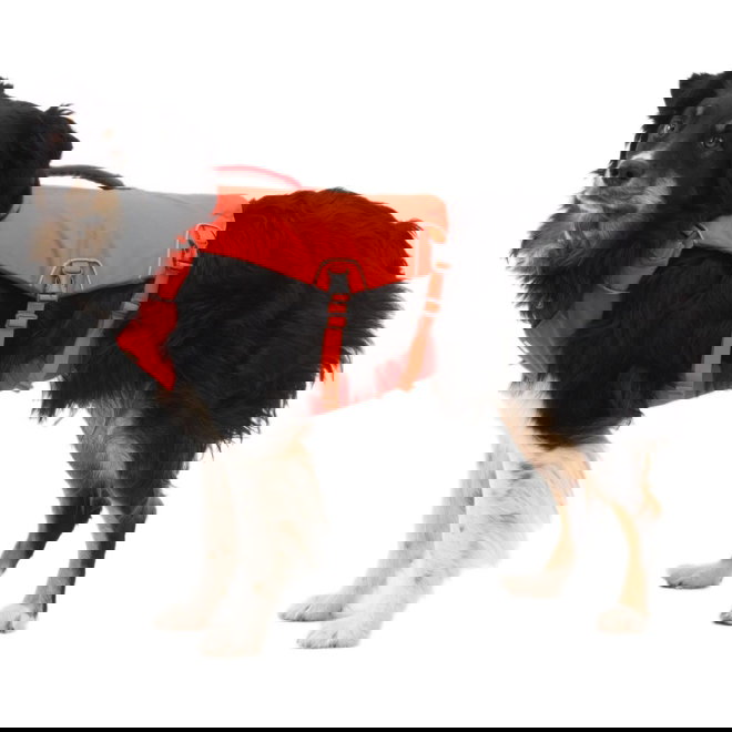 Ruffwear Confluence Hundflytv&auml;st Orange