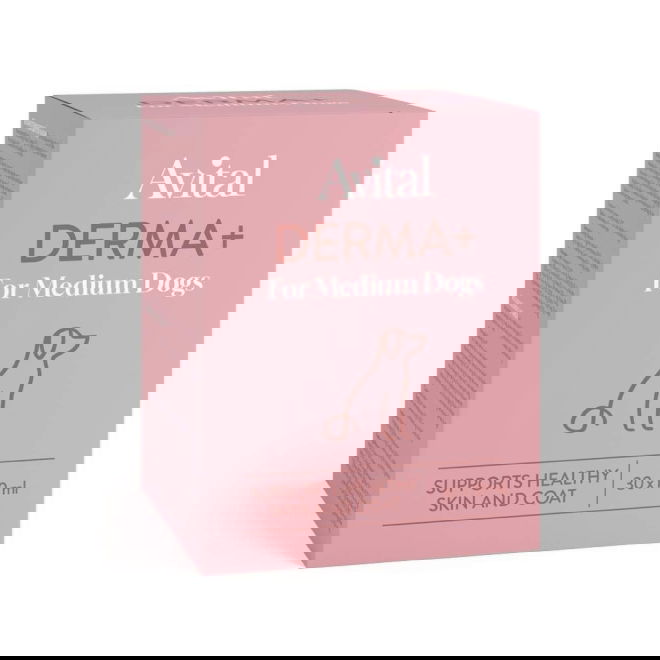 Avital Derma+ f&ouml;r Hund (300 ml)