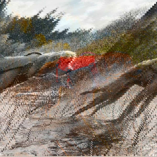 Ruffwear Confluence Hundflytv&auml;st Orange